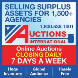 Auctions International - 250x250 ends: 123125
