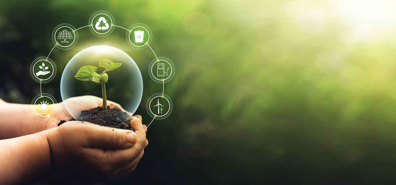Lift and Access’ Path to Sustainability