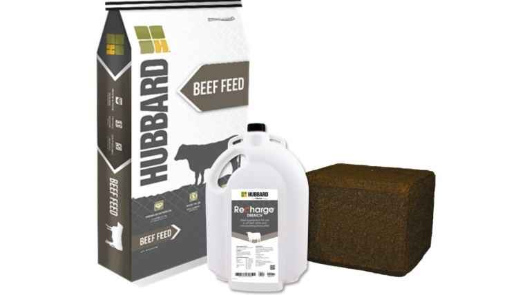Hubbard Feeds Recharge