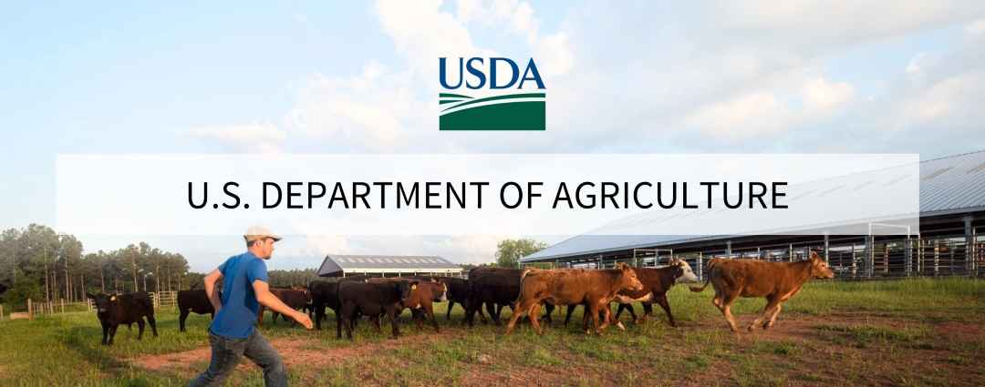 USDA to Provide $1 Billion for Flood and Wildfire Livestock Losses ...