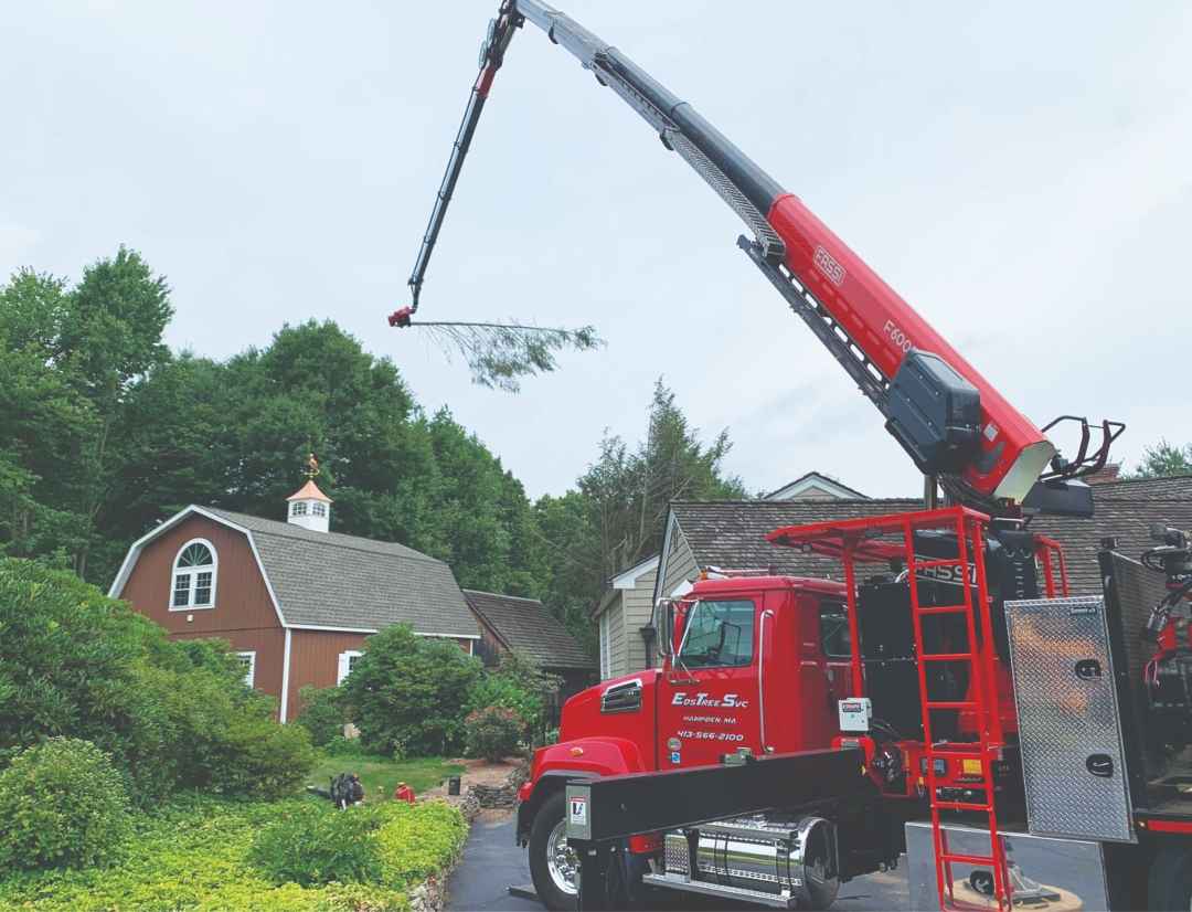 Fassi 600SE TreeMax