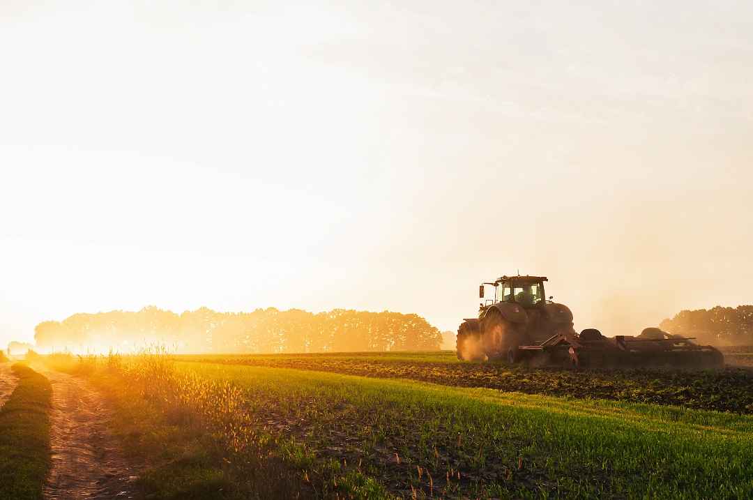 Tractor in the sunset on a field