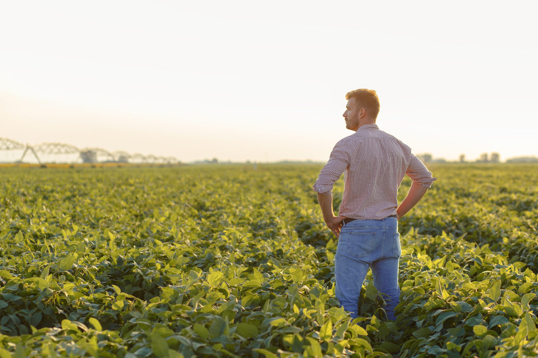 Farmer in a field