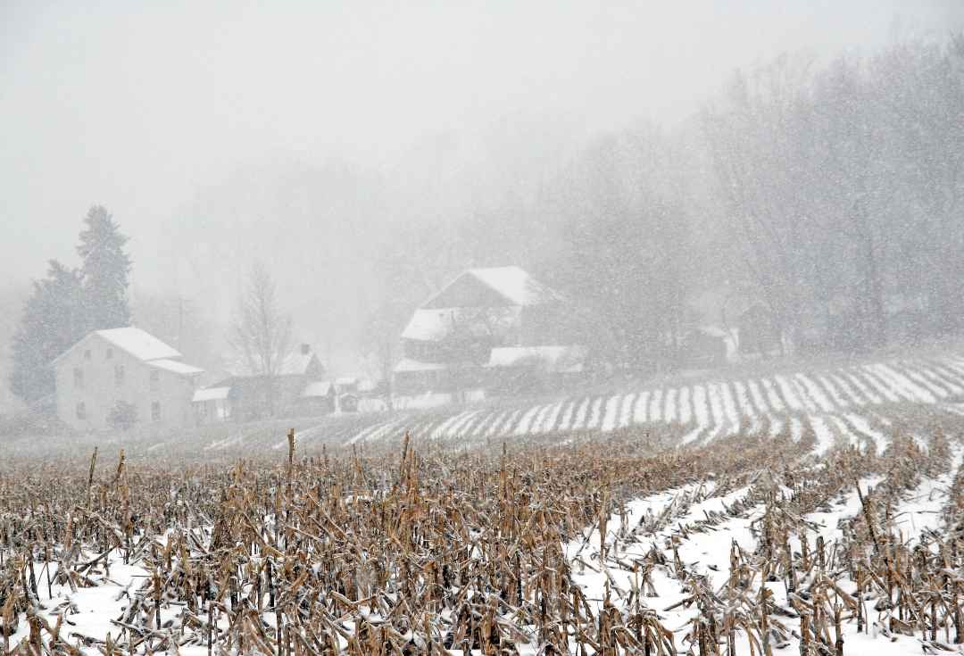 Ice, Snow and the Aftermath: Navigating Farm Losses After Winter Storms ...