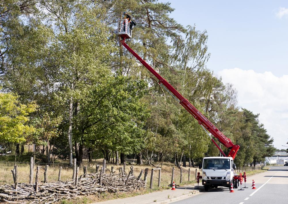 Ruthmann Debuts Ecoline 230 at Platformers’ Days