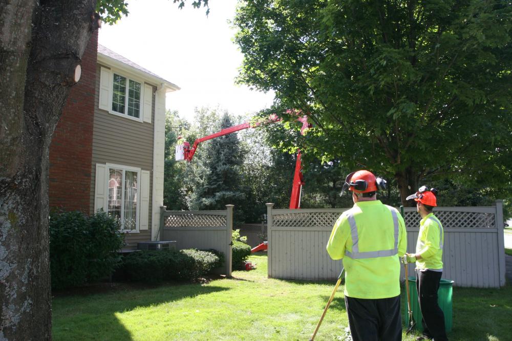 All Access Equipment Distributes CMC Crawler Lifts