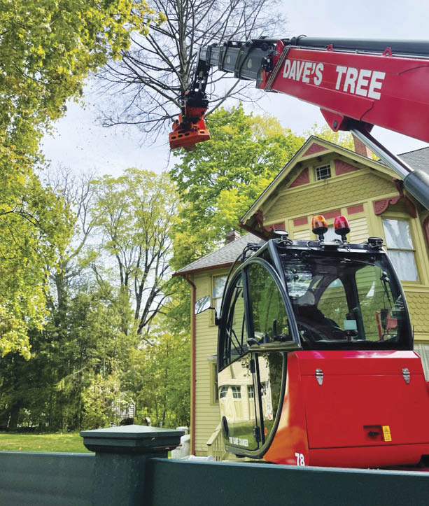 Branching into Efficiency - ​Magni’s rotating telehandlers demonstrate remarkable capabilities in the world of tree care. 