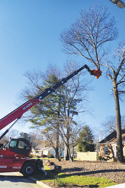Branching into Efficiency - ​Magni’s rotating telehandlers demonstrate remarkable capabilities in the world of tree care. 