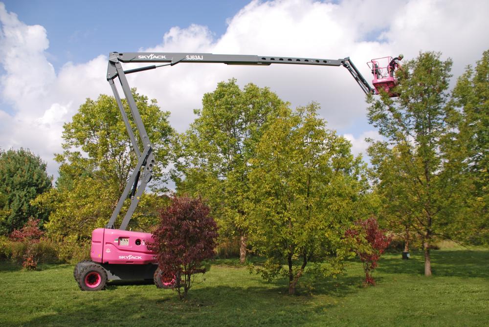 Skyjack Lift Helps Students Collect Seeds from Rare Trees