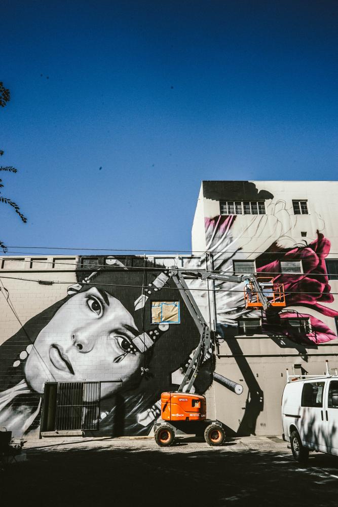 Skyjack Lifts Help Mural Artists Transform Sacramento 